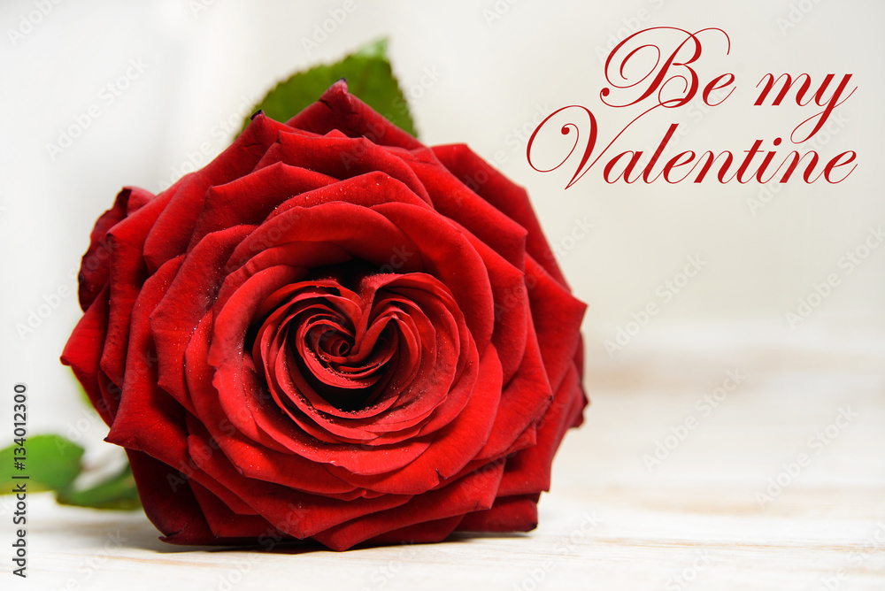 Fotografie Be my Valentine text with red rose