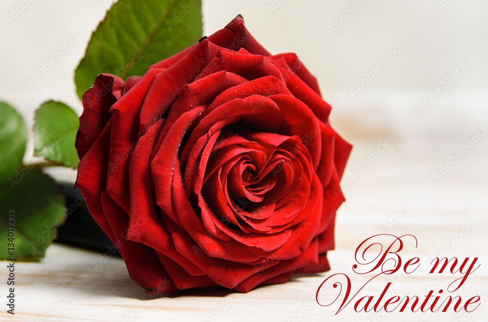 Fotografie Be my Valentine text with red rose