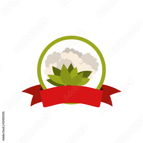 label silhouette colorful with cauliflower vector illustration
