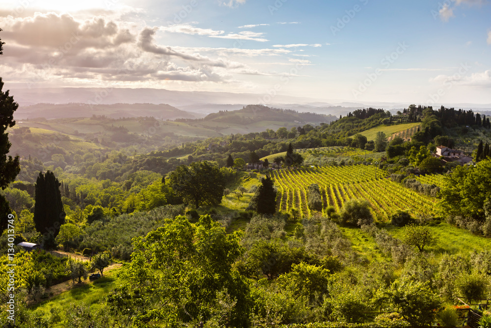 Lush Tuscany landscape at springtime