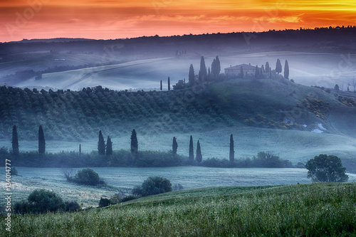 Tuscany ranch with vineyard