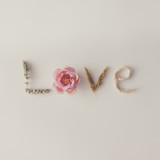 Word LOVE made out of various natural things. Flat lay. Love con