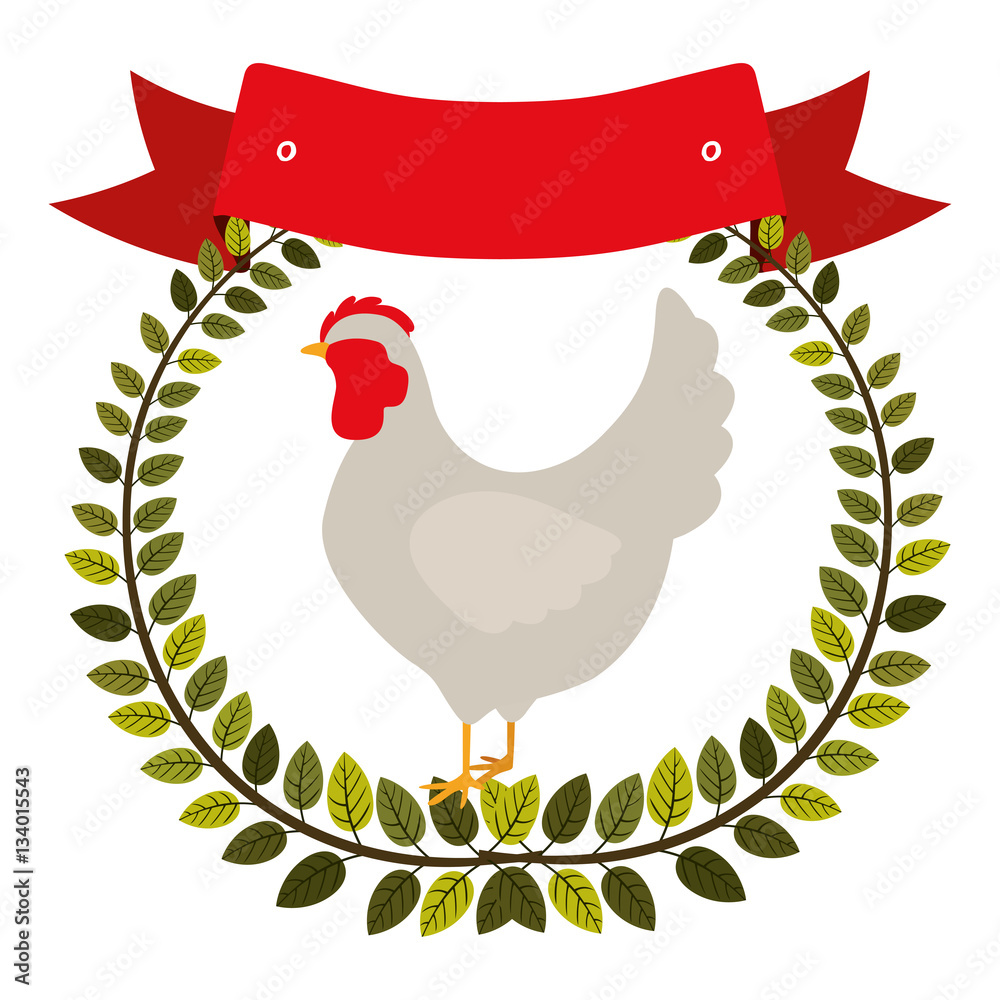 Φωτογραφία colorful olive crown and ribbon with chicken vector illustration