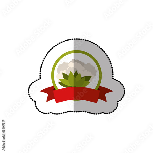 middle shadow sticker colorful with cauliflower and ribbon vector illustration
