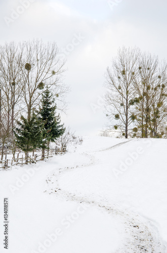 Winter landscape, path to the top of the snowy mountain,