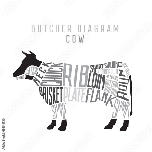 Cow butcher diagram. Cut of beef set. Typographic vintage 