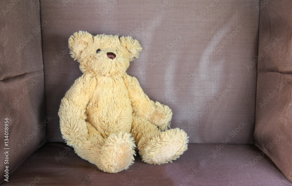 brown bear doll sitting on brown background