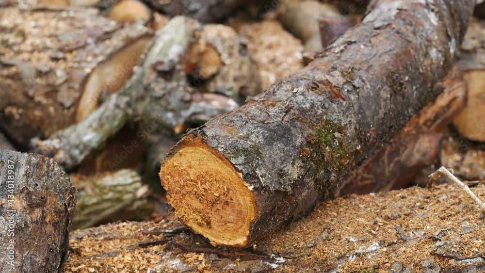 Man sawing wood by chainsaw. Close up. Man sawing wood by chainsaw. Close up.