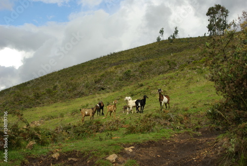 campagne Villa de leyva