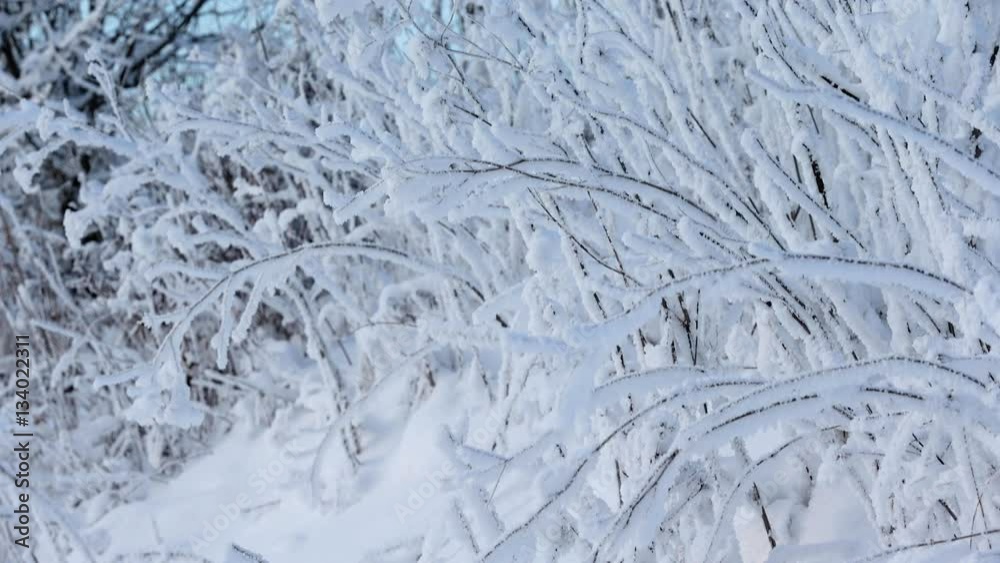 Beautiful winter landscape with snow covered trees Beautiful winter landscape with snow covered trees
