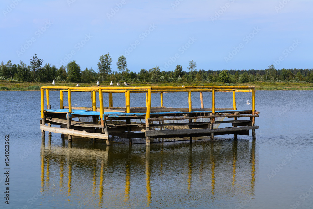 Fototapeta premium grow fish, lake, agricultural enterprise, small business, Belarus, 
