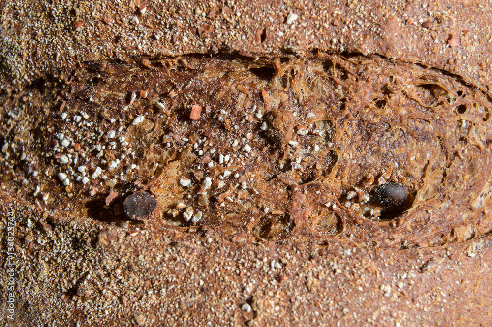 Macro texture of golden toasted bread with cereals. Fresh home baking in the sun light. Macro texture of golden toasted bread with cereals. Fresh home baking in the sun light.