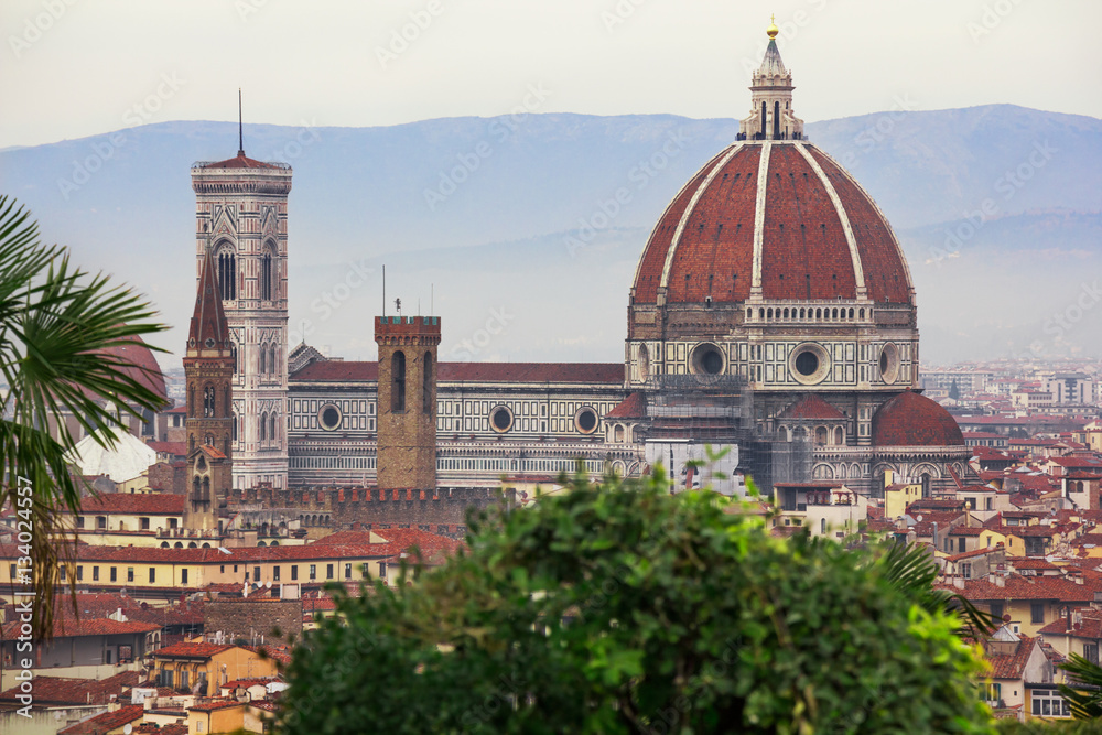 The Duomo in Florence rising above the city of Florence. 