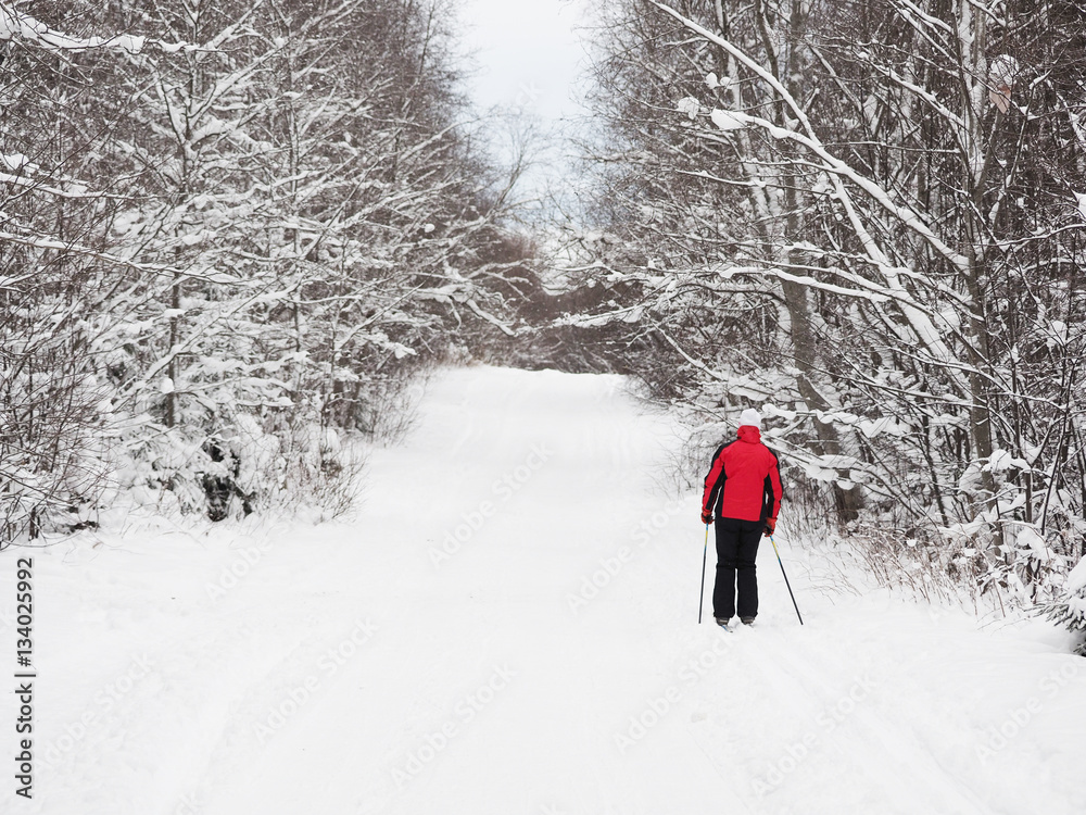 Skier in the forest