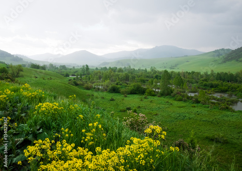 The river in mountain valley