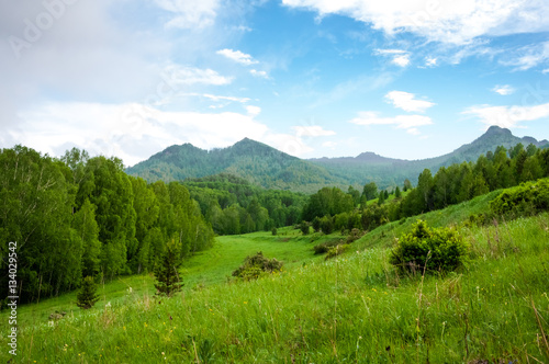 Green meadow at background of mountains and forest