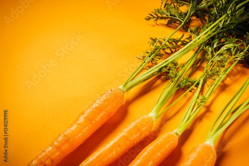fresh crunchy carrots on an orange background