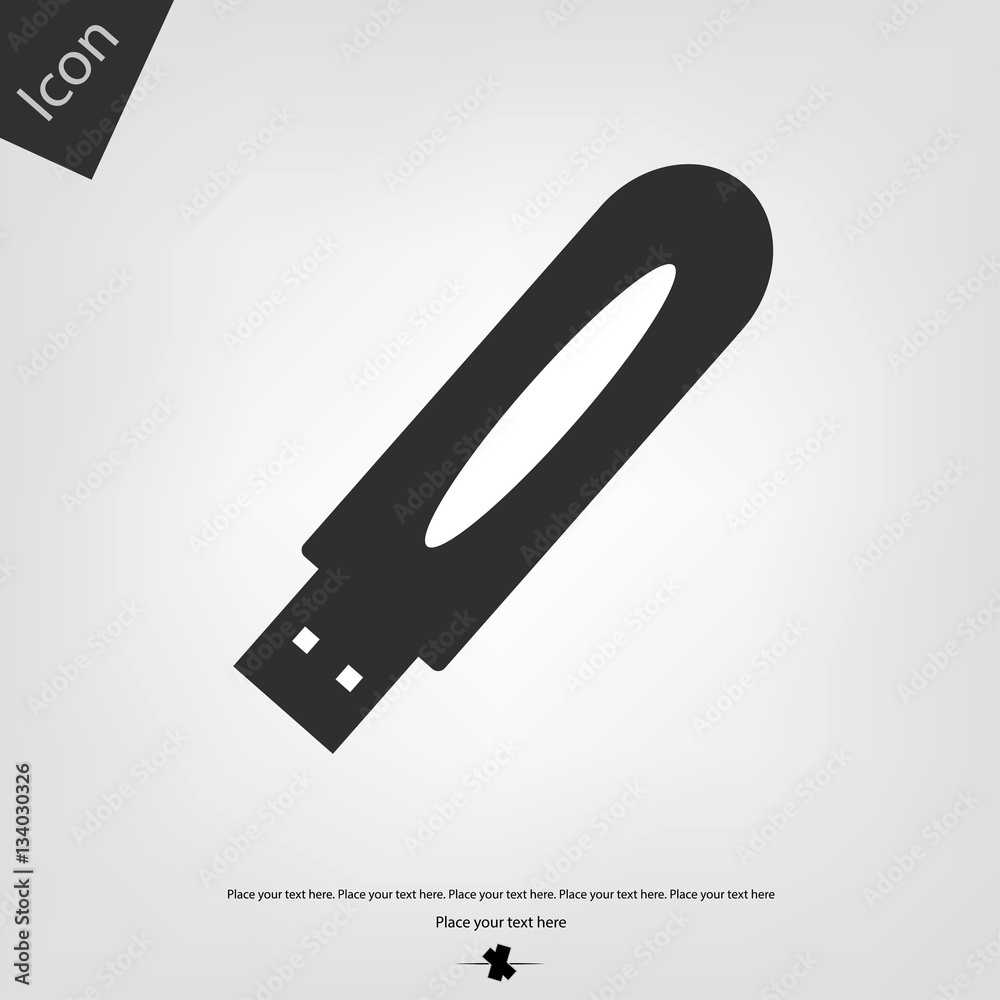 USB flash vector icon USB flash vector icon