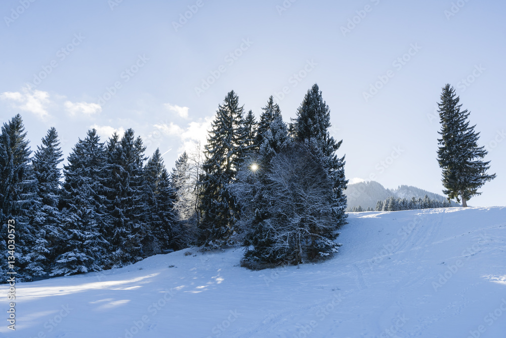 Obraz premium Winter in den Bergen