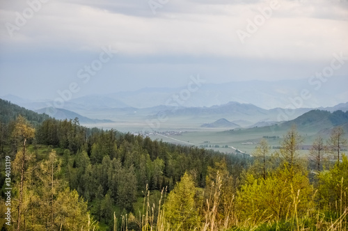 Autumn forest on background of valley in the mountains
