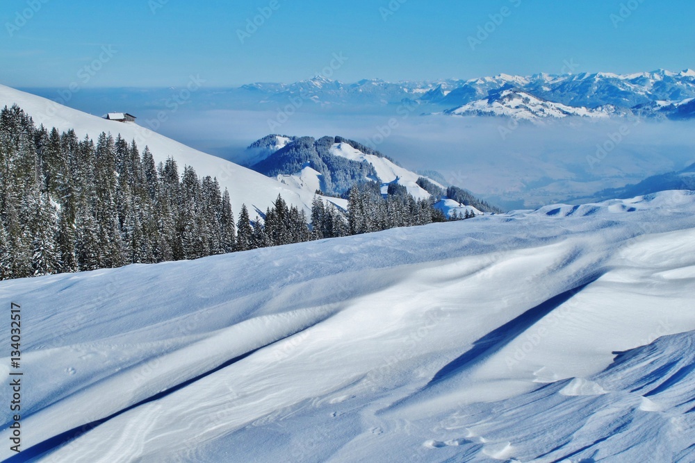 Schneelandschaft mit Tannenwald
