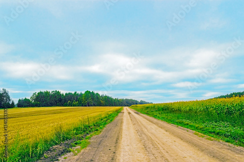 road in the field