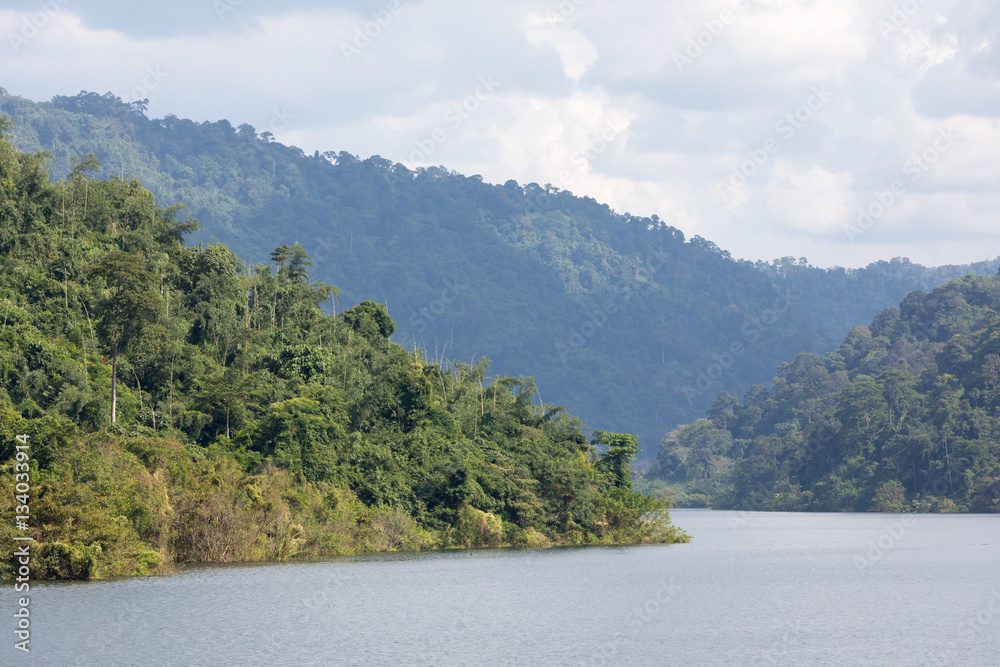 green slope of the river in the tropics