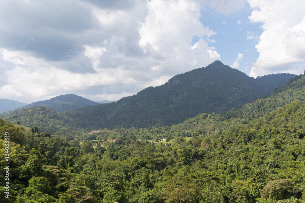 green hills and mountains in the tropics