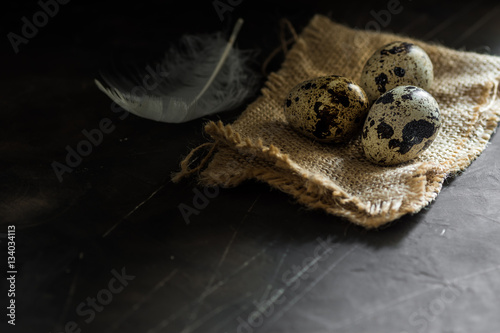 Quail eggs on burlap cloth  white feather  on black scratched concrete background  Easter concept  minimalistic  moody  conceptual