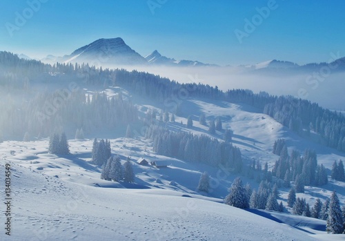 Photos Winterlandschaft im Nebel