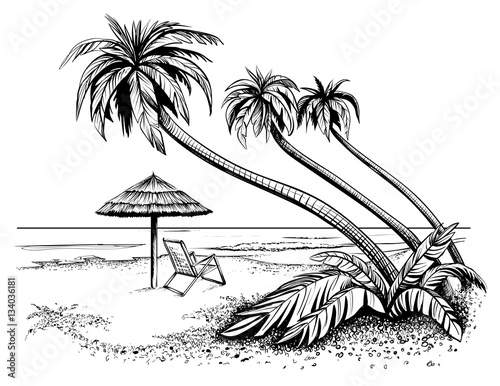 Ocean or sea beach with palms, sketch. Black and white vector illustration of island shore with umbrella and chaise longue. Hand drawn seaside view.