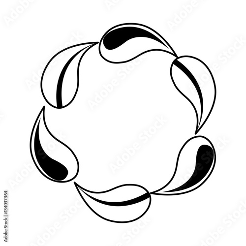 water drop and leaf plant vector illustration design