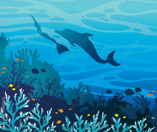 Dolphin and freediver. Coral reef and sea.