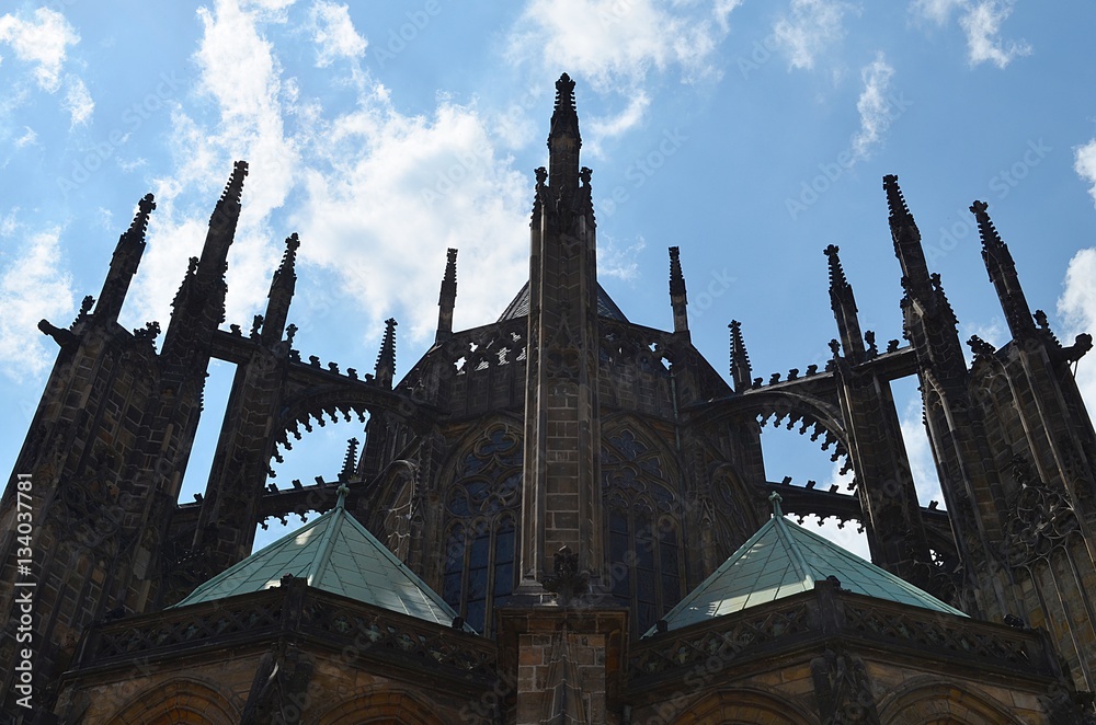 The cathedral Saint Vitus in Prague