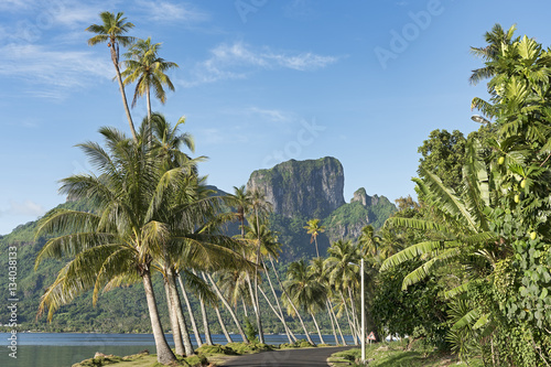 Südsee-Bora-Bora-11919