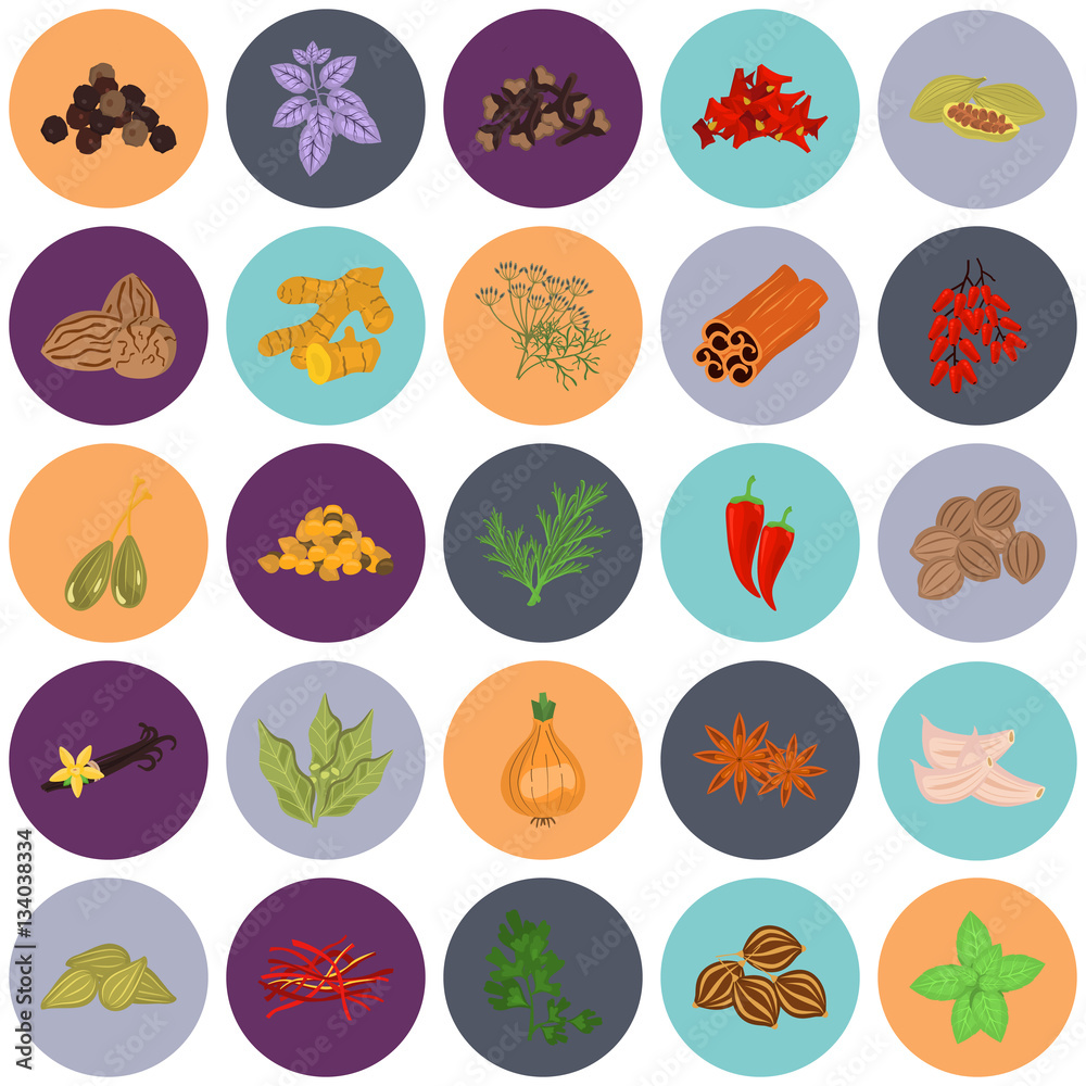 Set of color flat spice icons