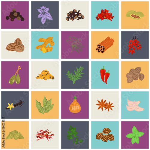 Set of color flat spice icons set with names