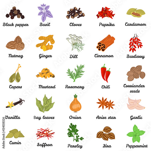 Set of color flat spice icons set with names