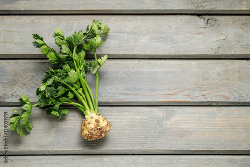 Celery plant on wooden background