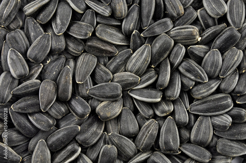 Sunflower seeds background