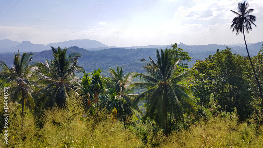 Kandy to Sri Lanka Kandy to Sri Lanka