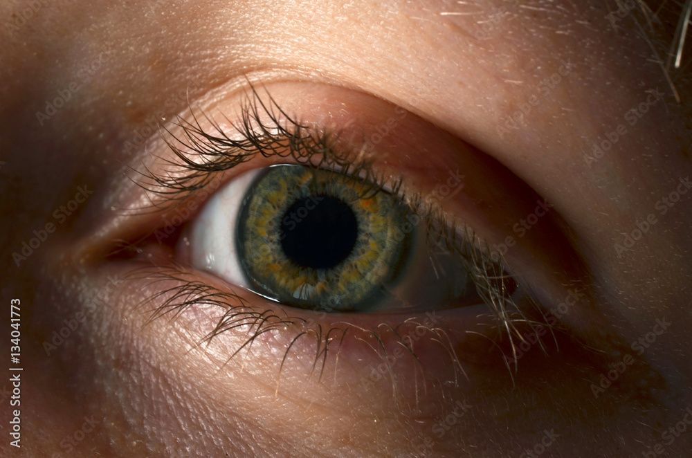 Fototapeta premium Closeup of eye