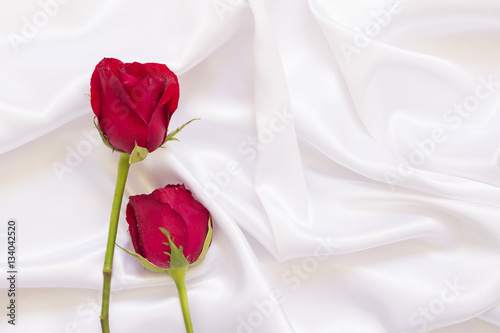 red rose on white cloth