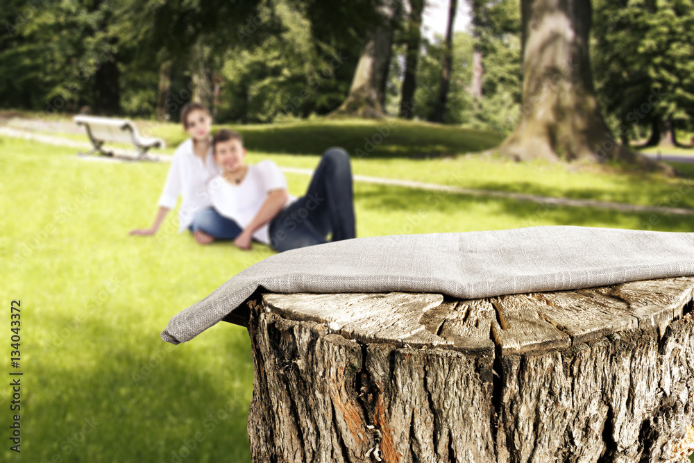 Fototapeta premium two olvers on green grass and tree trunk 