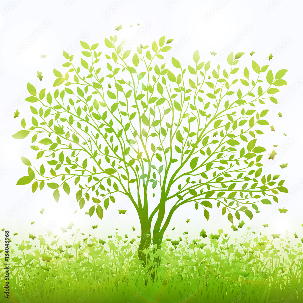 Obraz premium Green nature background with tree and grass vector