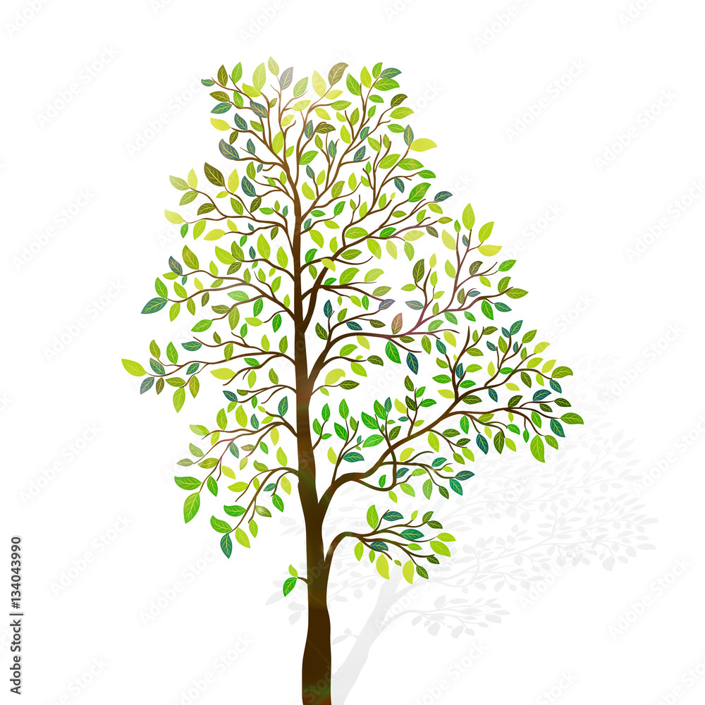 Green tree with leaves on white background vector Green tree with leaves on white background vector