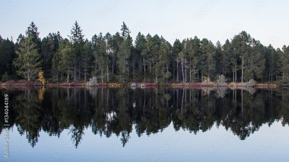 Fototapeta premium Blurred Fall Reflection