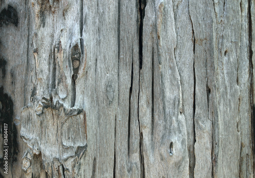 Old natural wooden shabby background