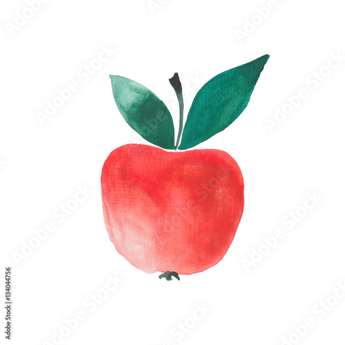 Beautiful red ripe apple isolated watercolor hand sketch