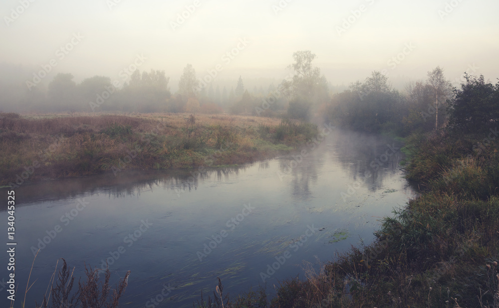 Fototapeta premium Autumn scene
